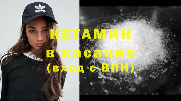 гашик Алексин