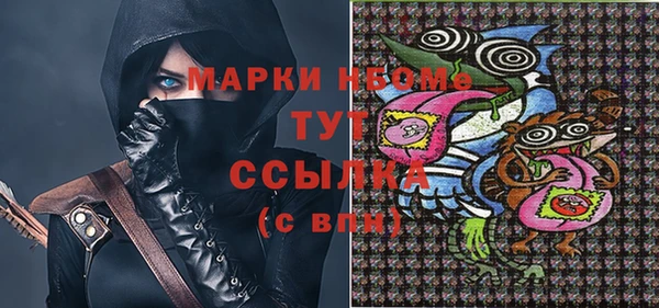 гашик Алексин