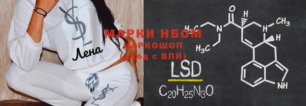 гашик Алексин
