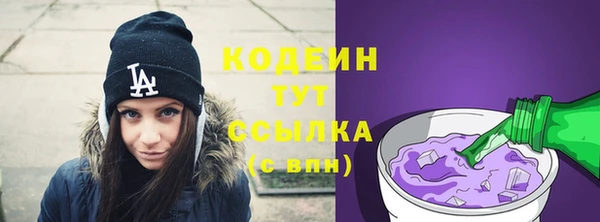 гашик Алексин