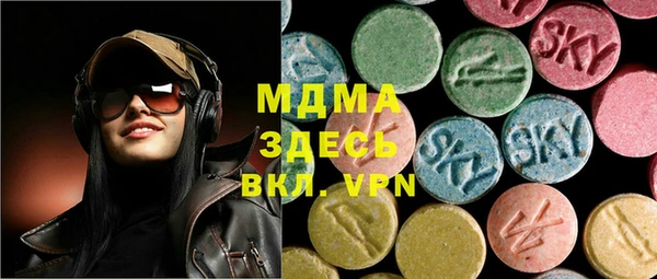 гашик Алексин
