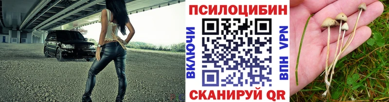 Псилоцибиновые грибы мухоморы Вихоревка
